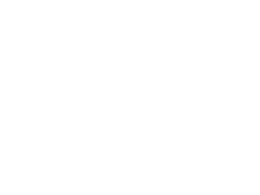 לוגו של חברת יהלומית פרץ